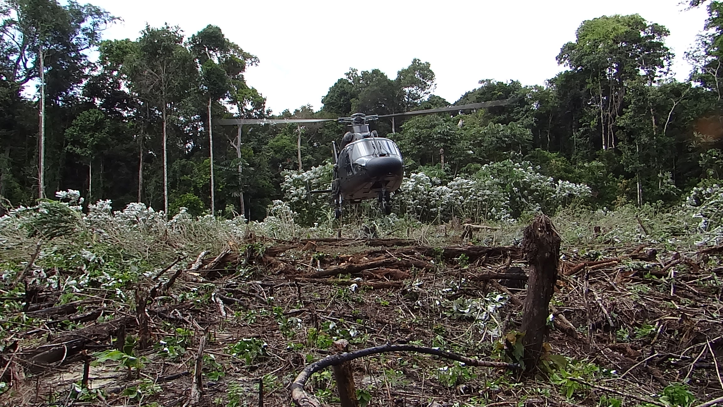 Pantera K2 cumpre mais de 150 horas de voo em avaliação técnico-operacional